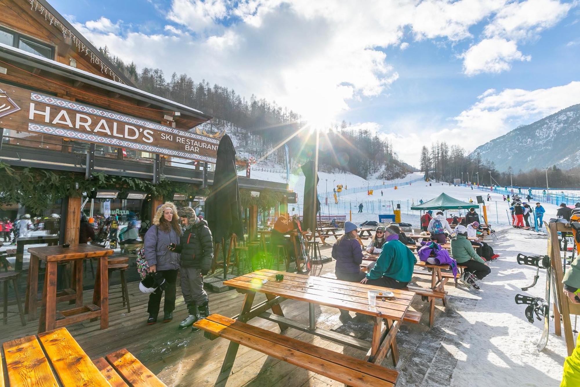 Il Nido Nella Pineta - Happy Rentals Bardonecchia Εξωτερικό φωτογραφία